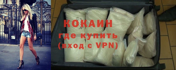 индика Горняк