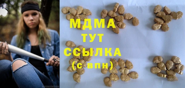 индика Горняк