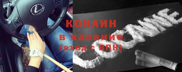 индика Горняк