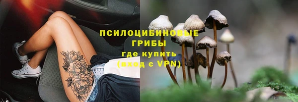 дмт Долгопрудный