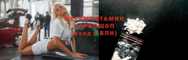 индика Горняк