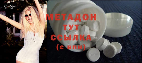 индика Горняк