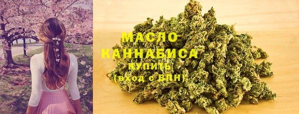 индика Горняк