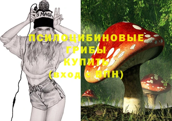 прущая мука Горно-Алтайск