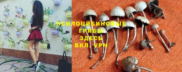 трава Горнозаводск