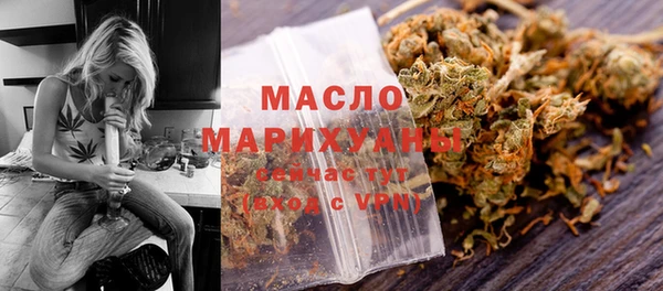 индика Горняк