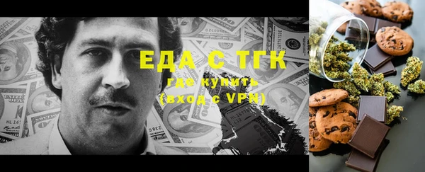 индика Горняк