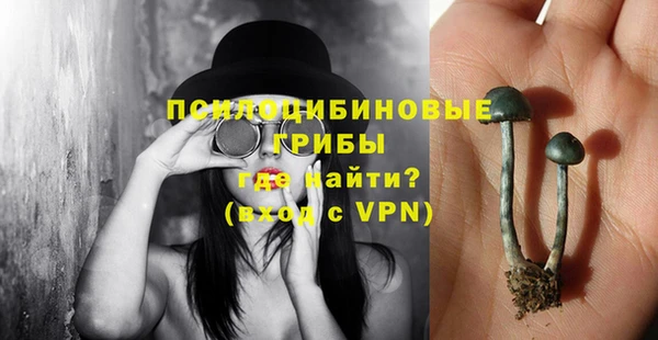 прущая мука Горно-Алтайск