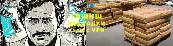 индика Горняк
