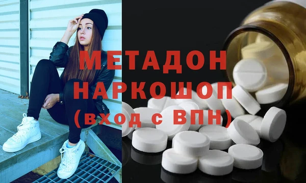 индика Горняк