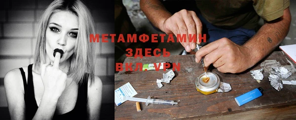 индика Горняк